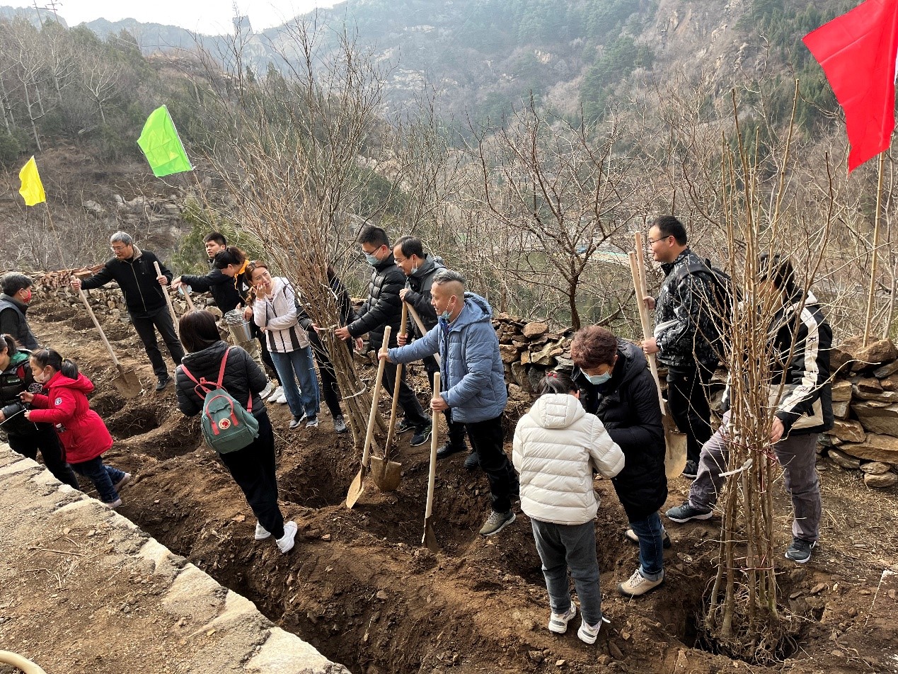 植一片綠色 守護綠水青山 —— 北京康茂峰開展志愿者植樹活動