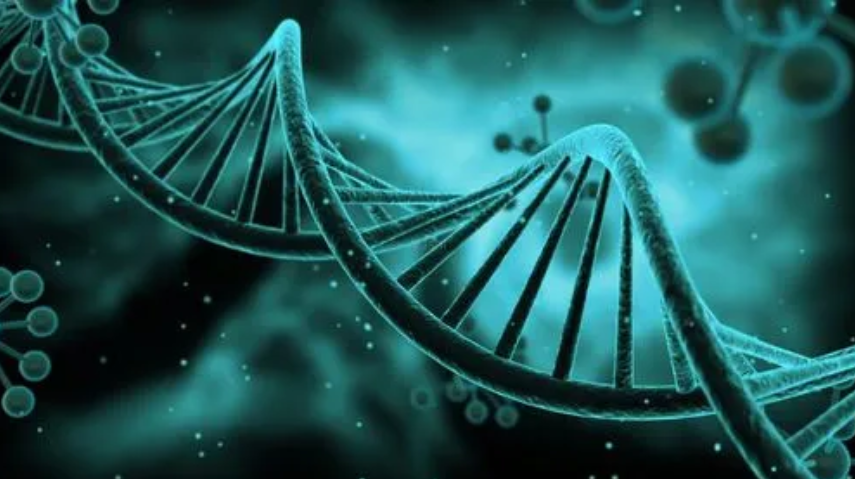 生物技術翻譯需要關注哪些要點?