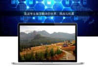 走進(jìn)專(zhuān)業(yè)醫(yī)學(xué)翻譯的世界：挑戰(zhàn)與機(jī)遇