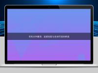 專利文件翻譯:連接創(chuàng)新與全球市場的橋梁