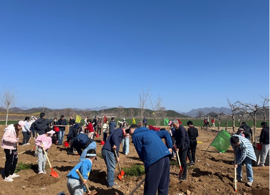 踐行綠色發展,康茂峰開展第四屆義務植樹活動